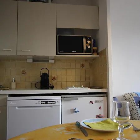 4 Pers Proche Pistes, Animaux Admis - Fr-1-549-62 Apartman